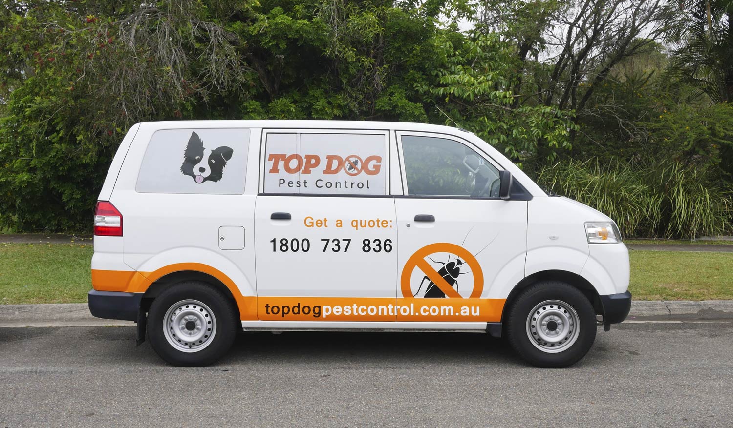 Gold Coast Commercial Pest Control - Process, Chemicals, Costs and Best Time of Year. Top dog pest Control