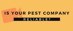relaible-pest-control