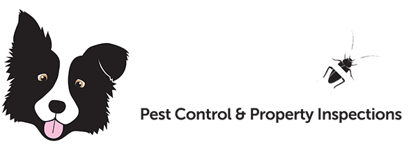 Top Dog Pest Control Gold Coast