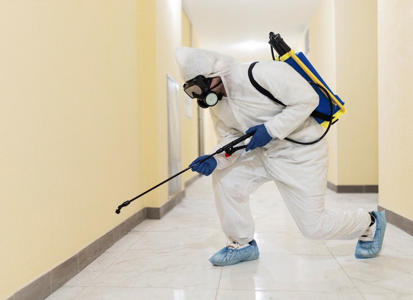 DIY Ant Control Fails in Commercial Settings