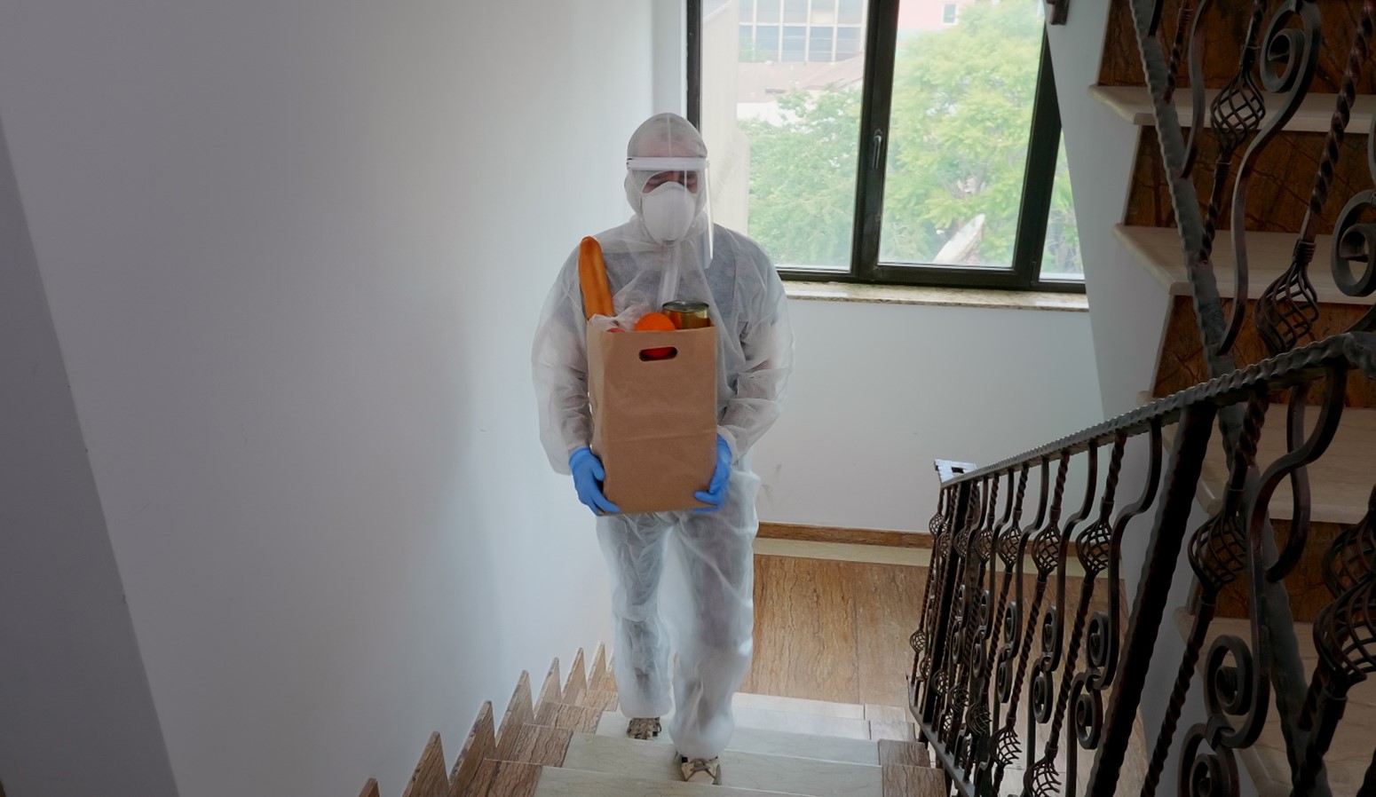Termites Gain Access to Your Property